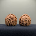 White Lion Wenwan Walnut · 34mm · Natural · Entry Ritual