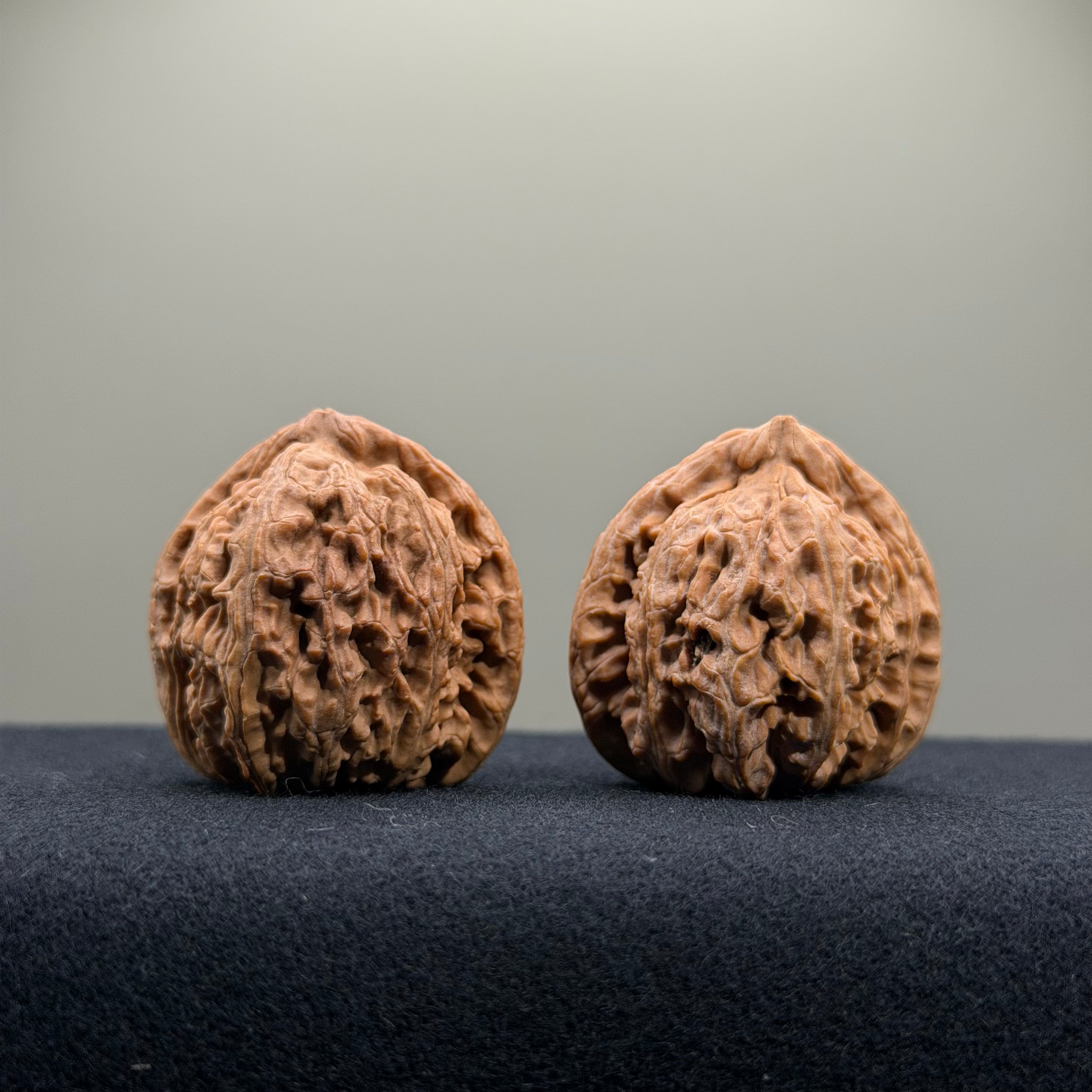 White Lion Wenwan Walnut · 34mm · Natural · Entry Ritual