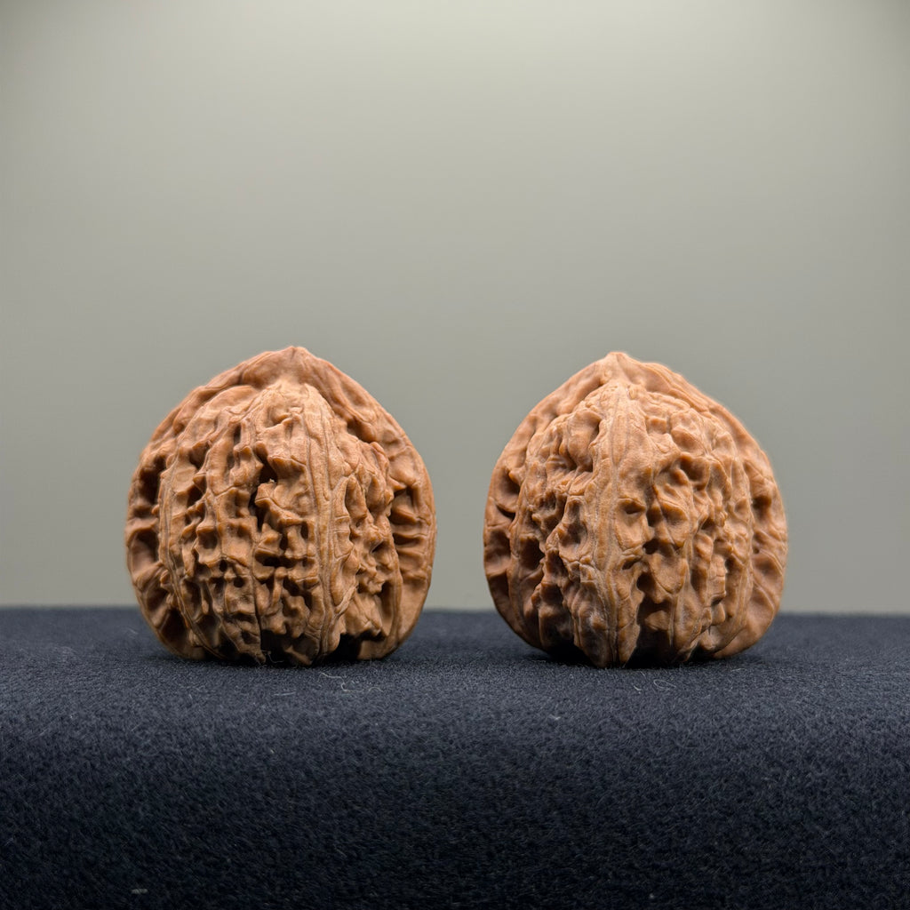White Lion Wenwan Walnut · 34mm · Natural · Entry Ritual