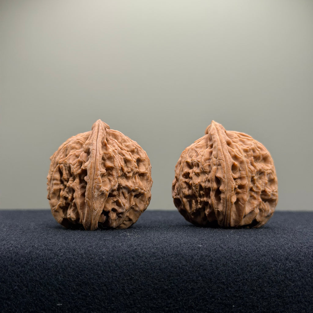 White Lion Wenwan Walnut · 34mm · Natural · Entry Ritual