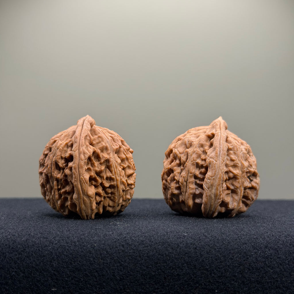 White Lion Wenwan Walnut · 34mm · Natural · Entry Ritual