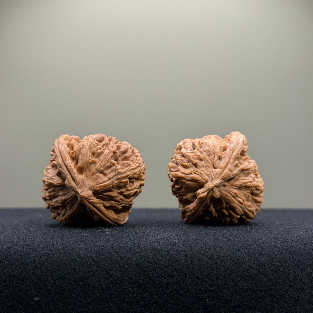 White Lion Wenwan Walnut · 34mm · Natural · Entry Ritual