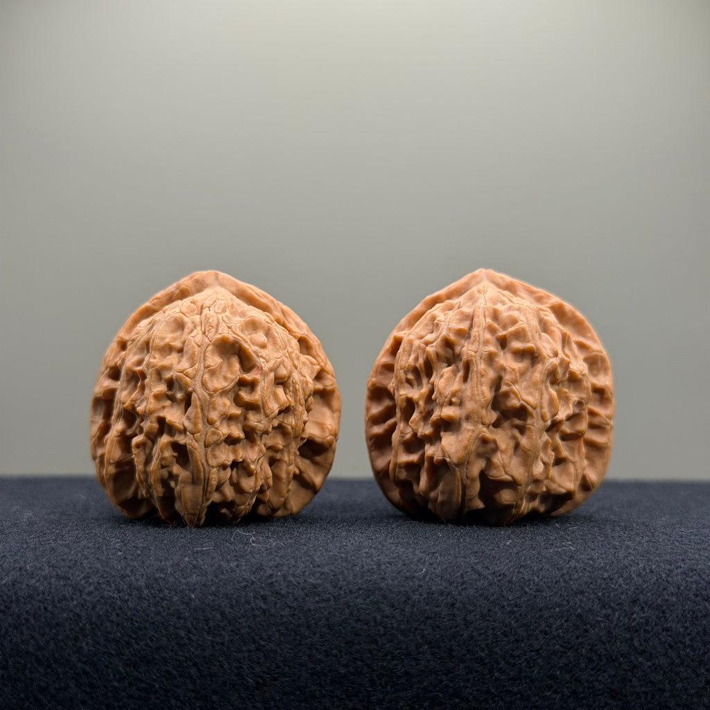White Lion Wenwan Walnut · 34mm · Natural · Select Ritual