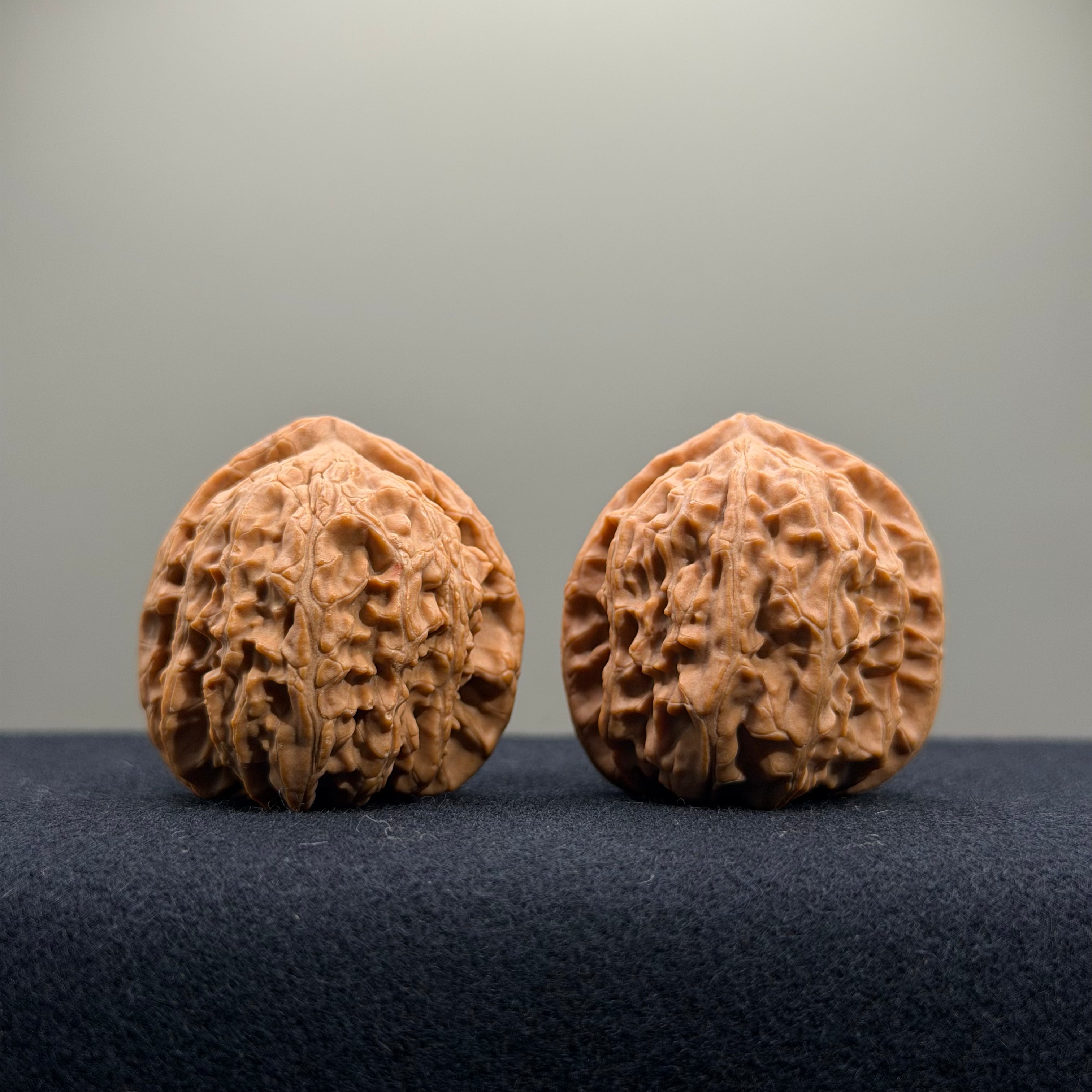 White Lion Wenwan Walnut · 34mm · Natural · Select Ritual