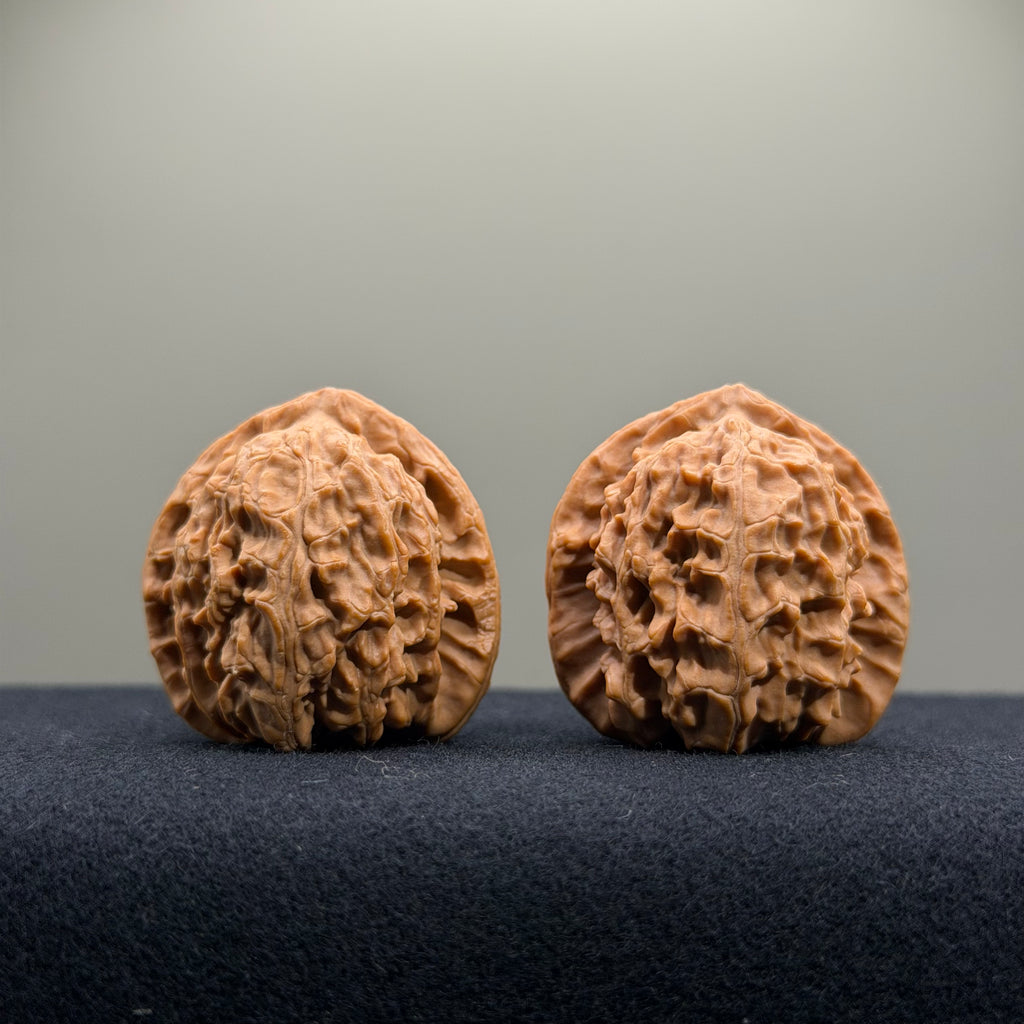 White Lion Wenwan Walnut · 34mm · Natural · Select Ritual