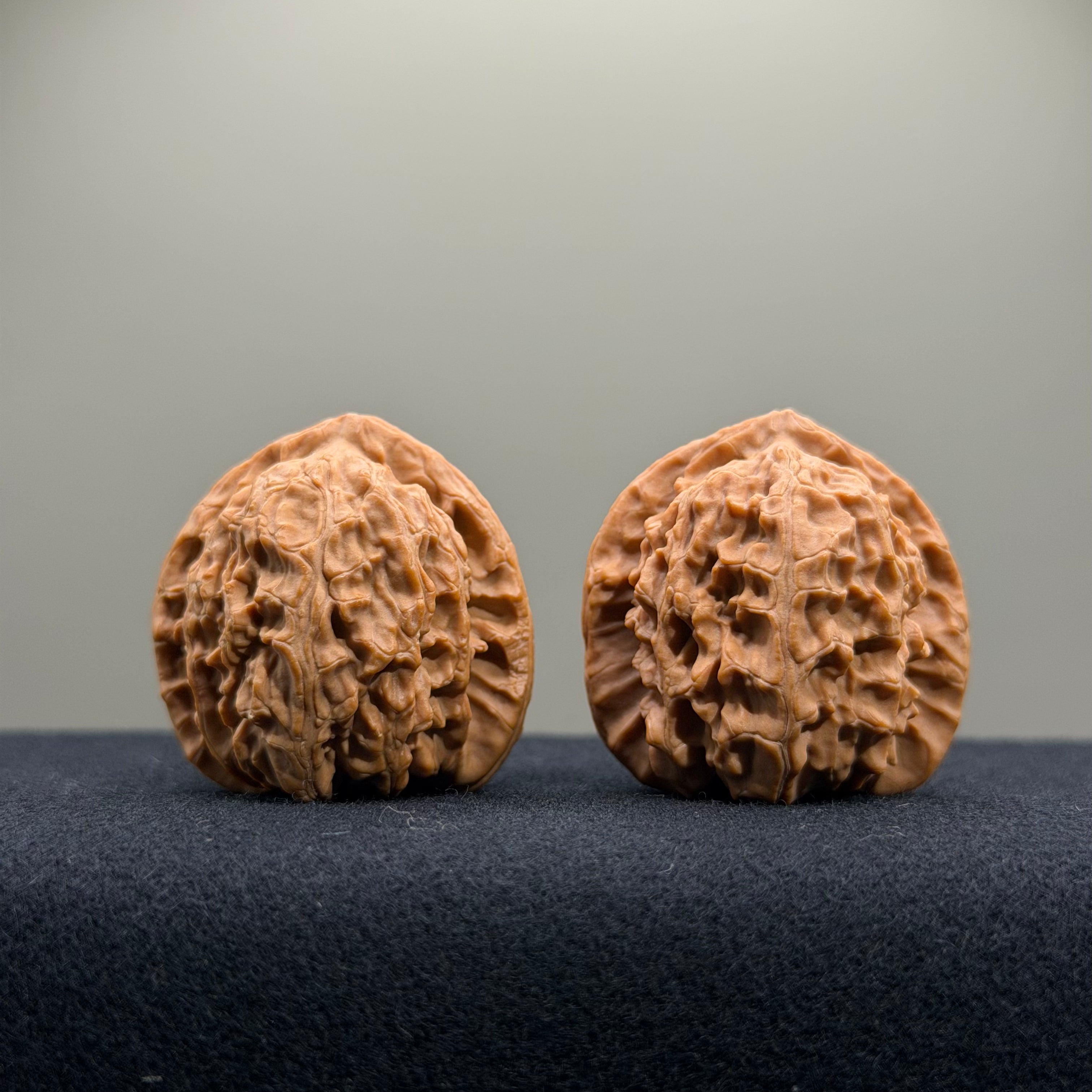 White Lion Wenwan Walnut · 34mm · Natural · Select Ritual