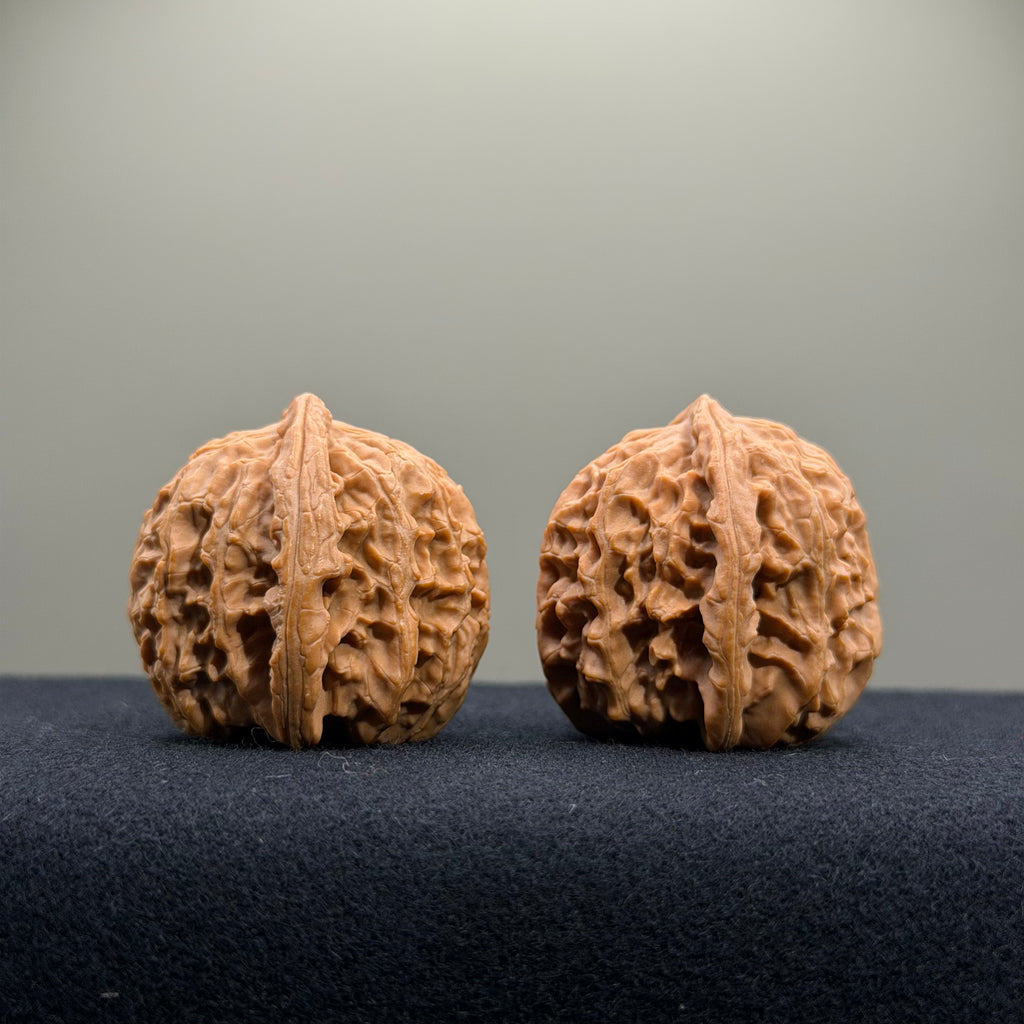 White Lion Wenwan Walnut · 34mm · Natural · Select Ritual