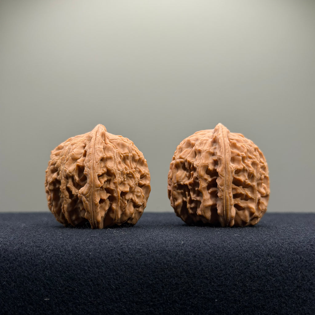 White Lion Wenwan Walnut · 34mm · Natural · Select Ritual