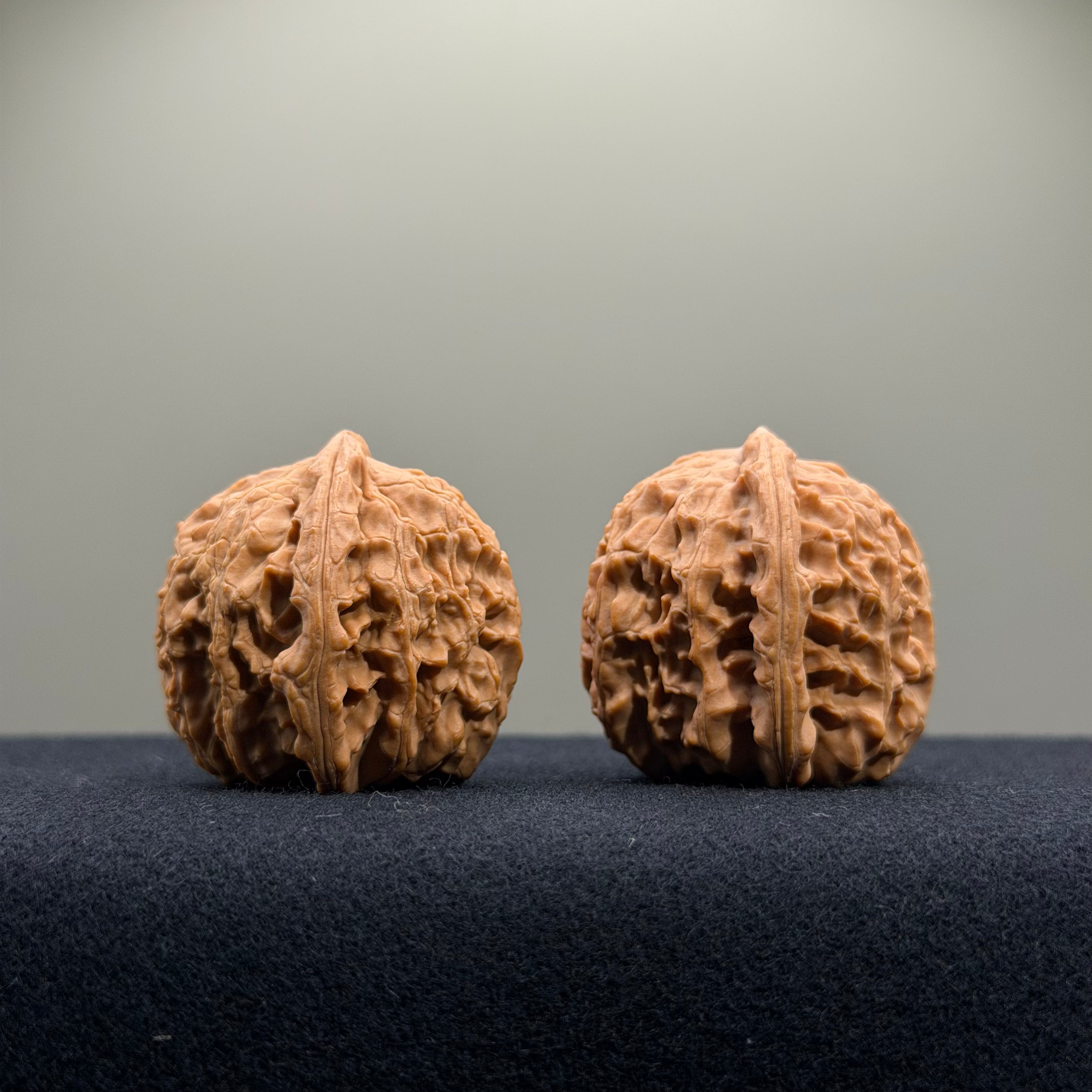 White Lion Wenwan Walnut · 34mm · Natural · Select Ritual