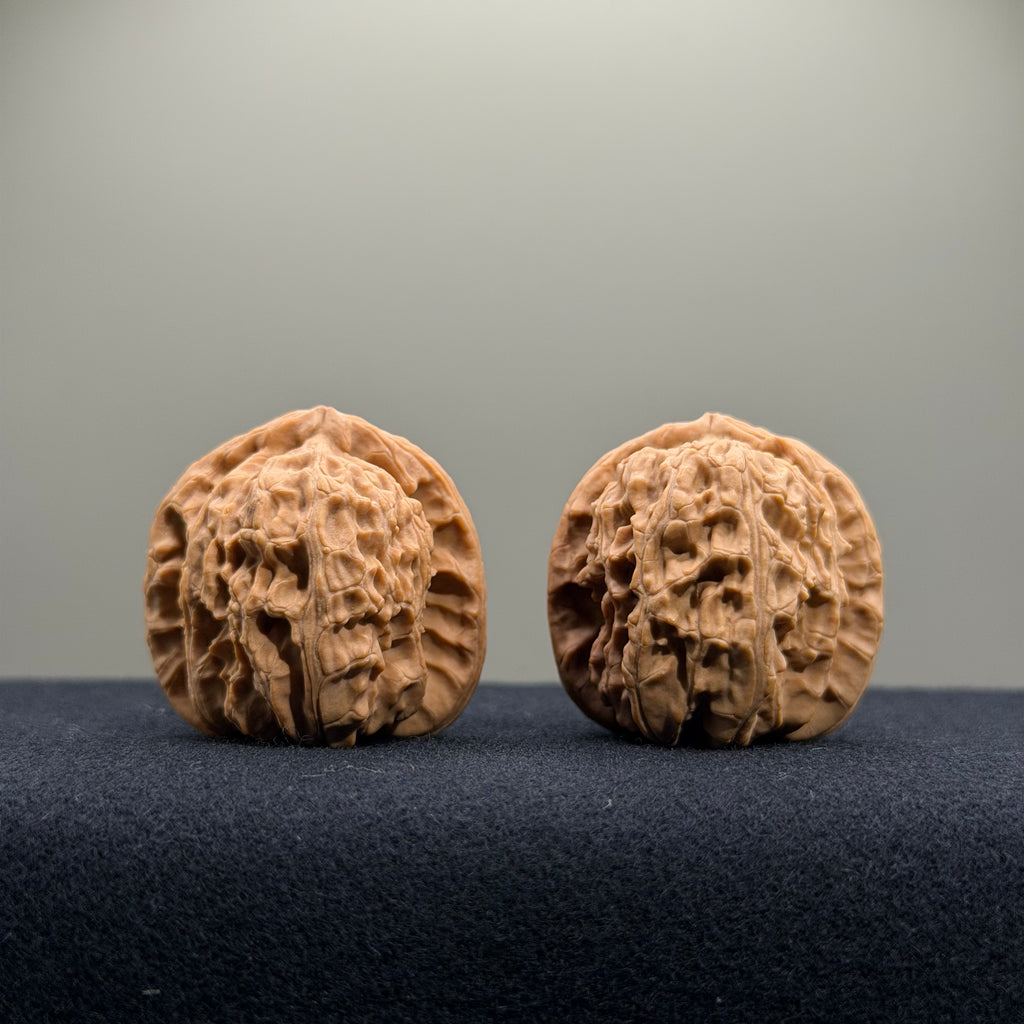 White Lion Wenwan Walnut · 34mm · Natural · Select Ritual