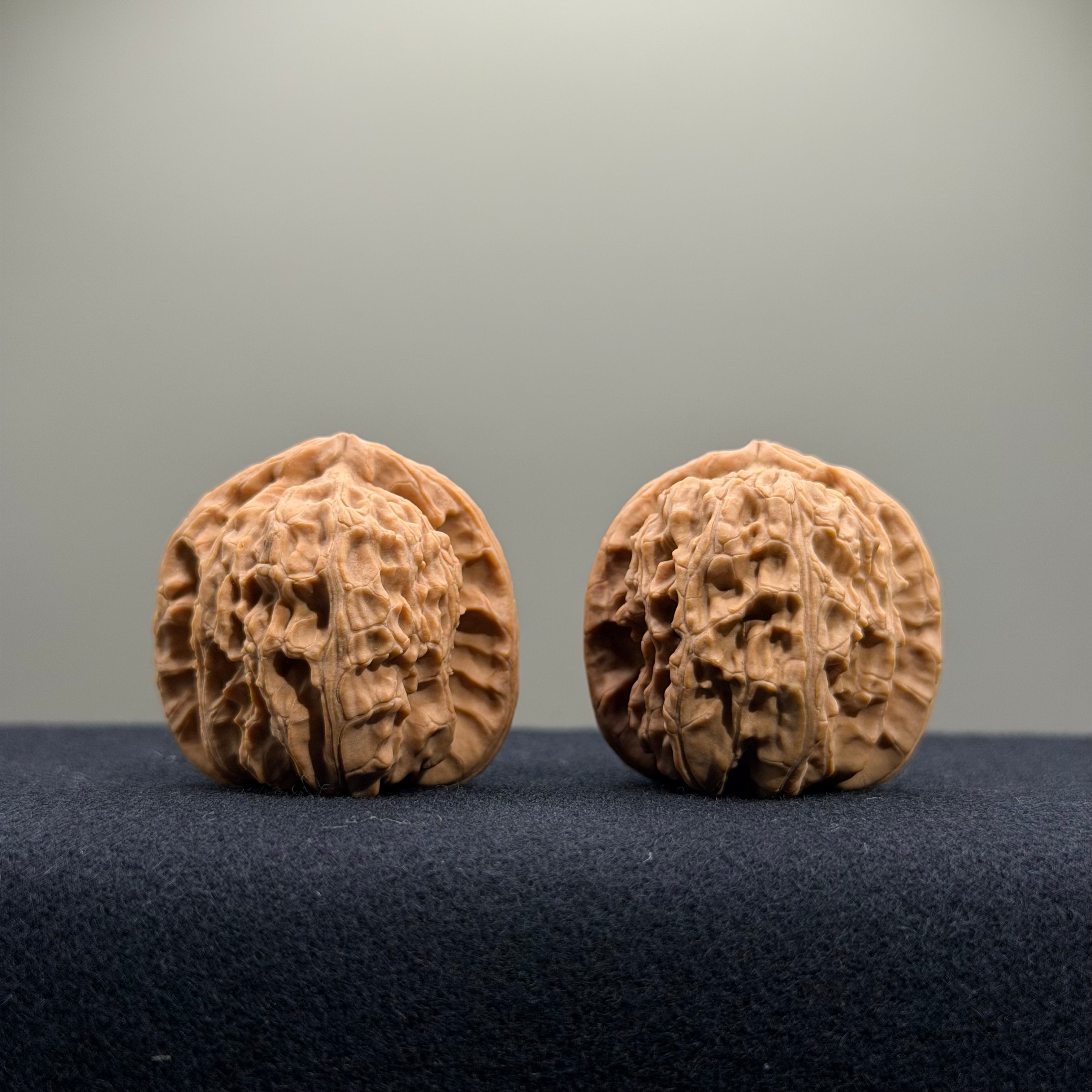 White Lion Wenwan Walnut · 34mm · Natural · Select Ritual