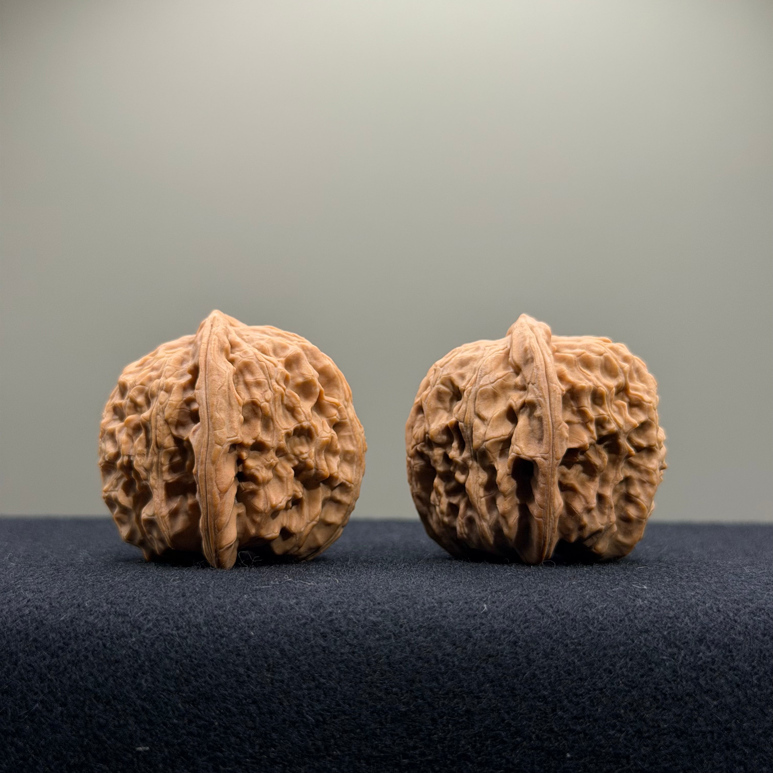 White Lion Wenwan Walnut · 34mm · Natural · Select Ritual