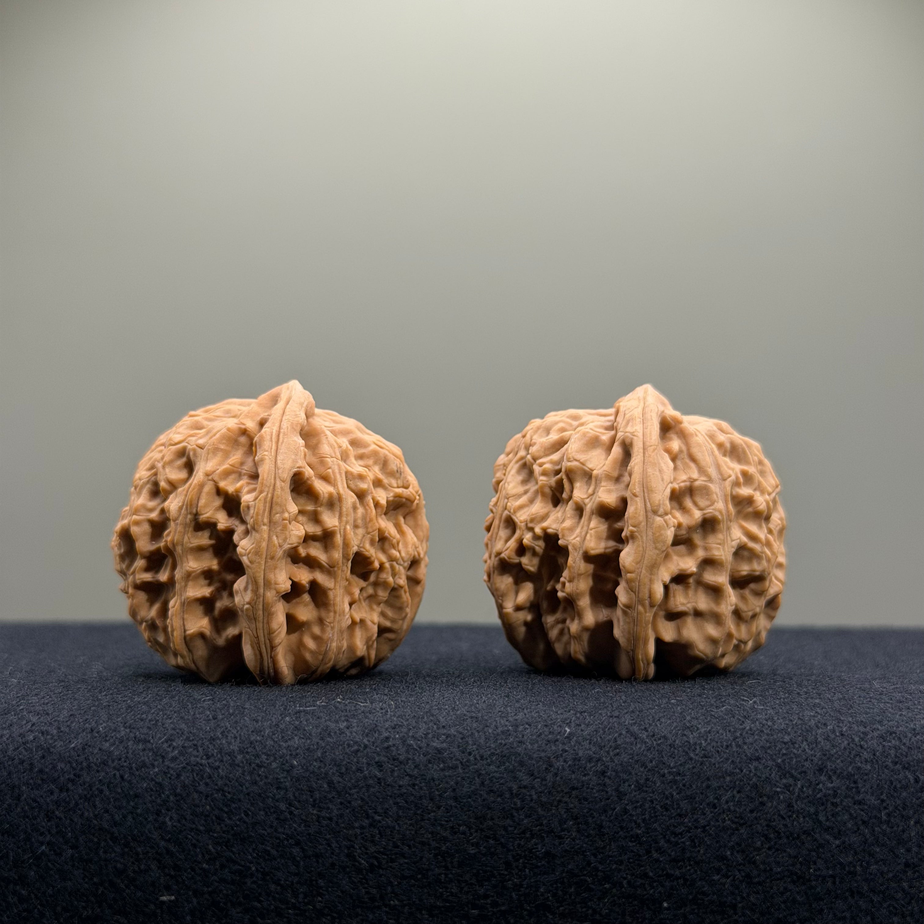 White Lion Wenwan Walnut · 34mm · Natural · Select Ritual