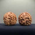 Bold Ridge Wenwan Walnut · 41mm · Natural · Select Ritual