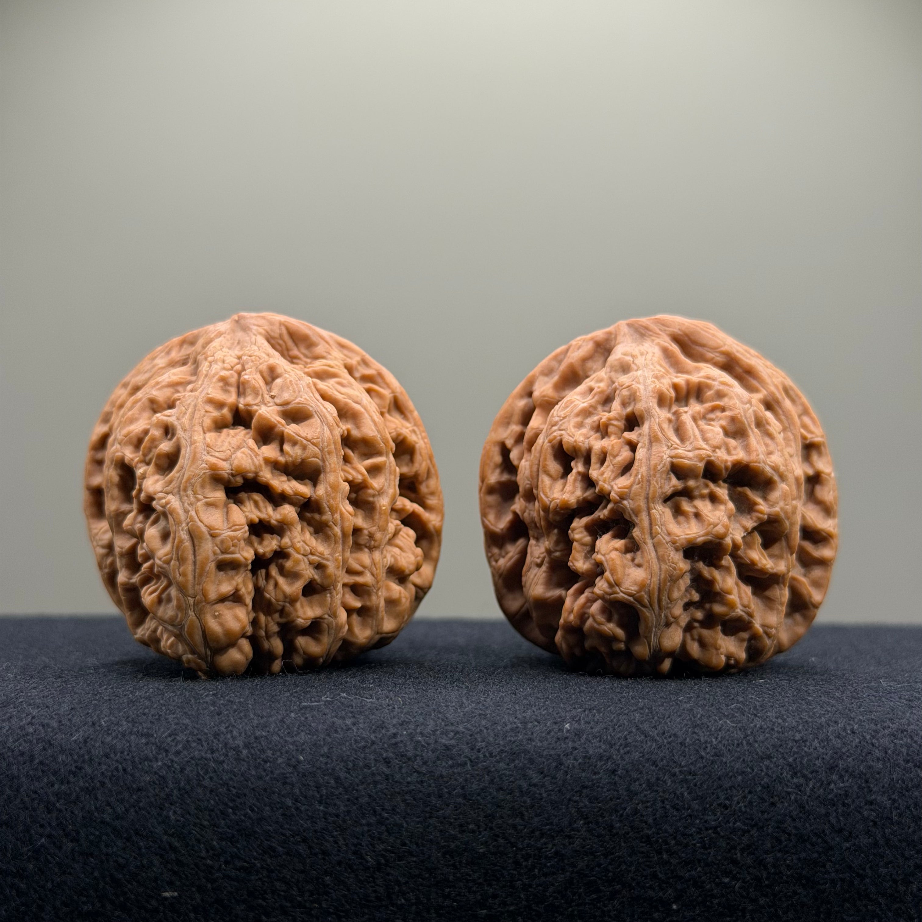 Bold Ridge Wenwan Walnut · 41mm · Natural · Select Ritual