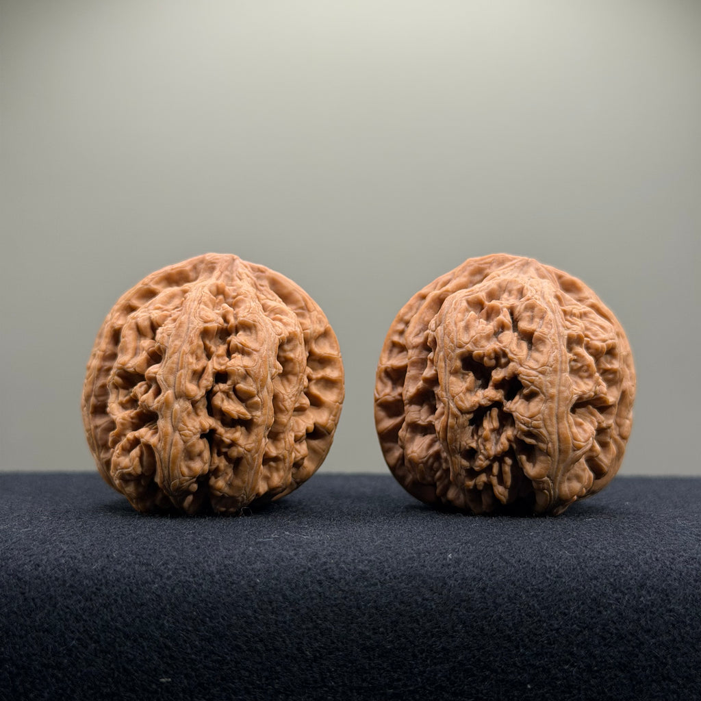 Bold Ridge Wenwan Walnut · 41mm · Natural · Select Ritual