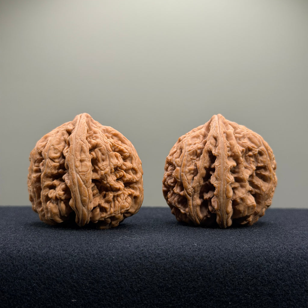 Bold Ridge Wenwan Walnut · 41mm · Natural · Select Ritual