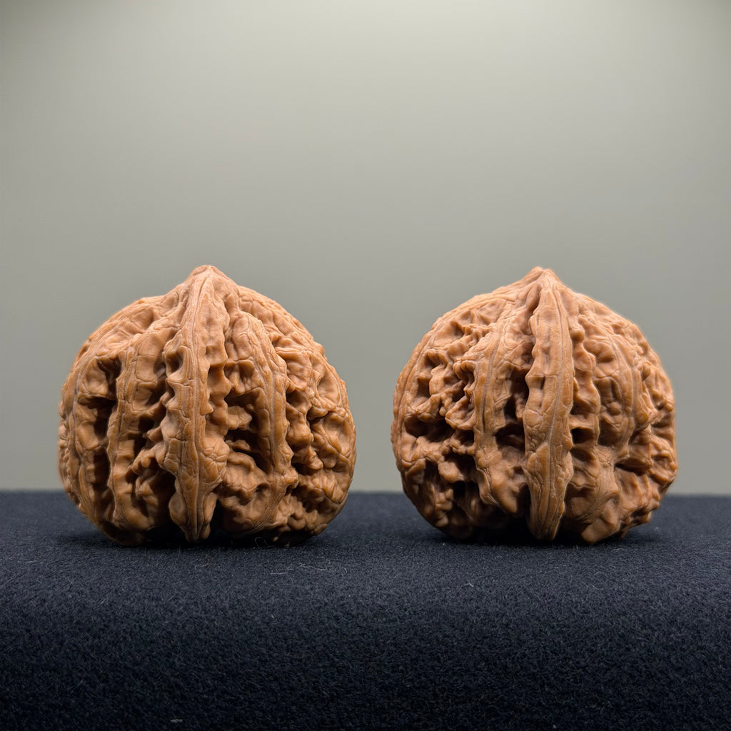 Bold Ridge Wenwan Walnut · 41mm · Natural · Select Ritual