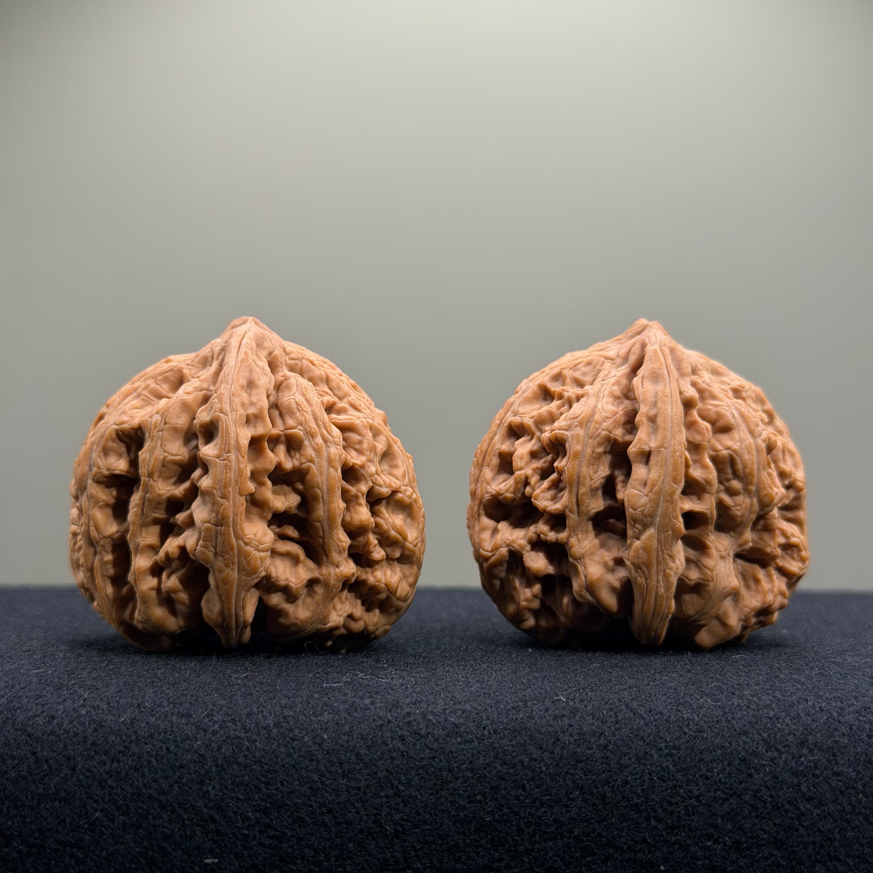 Bold Ridge Wenwan Walnut · 41mm · Natural · Select Ritual