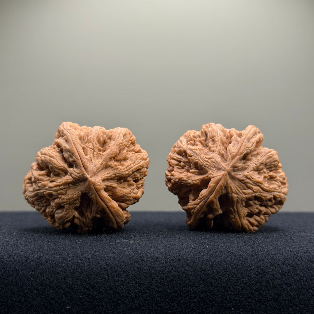 Bold Ridge Wenwan Walnut · 41mm · Natural · Select Ritual