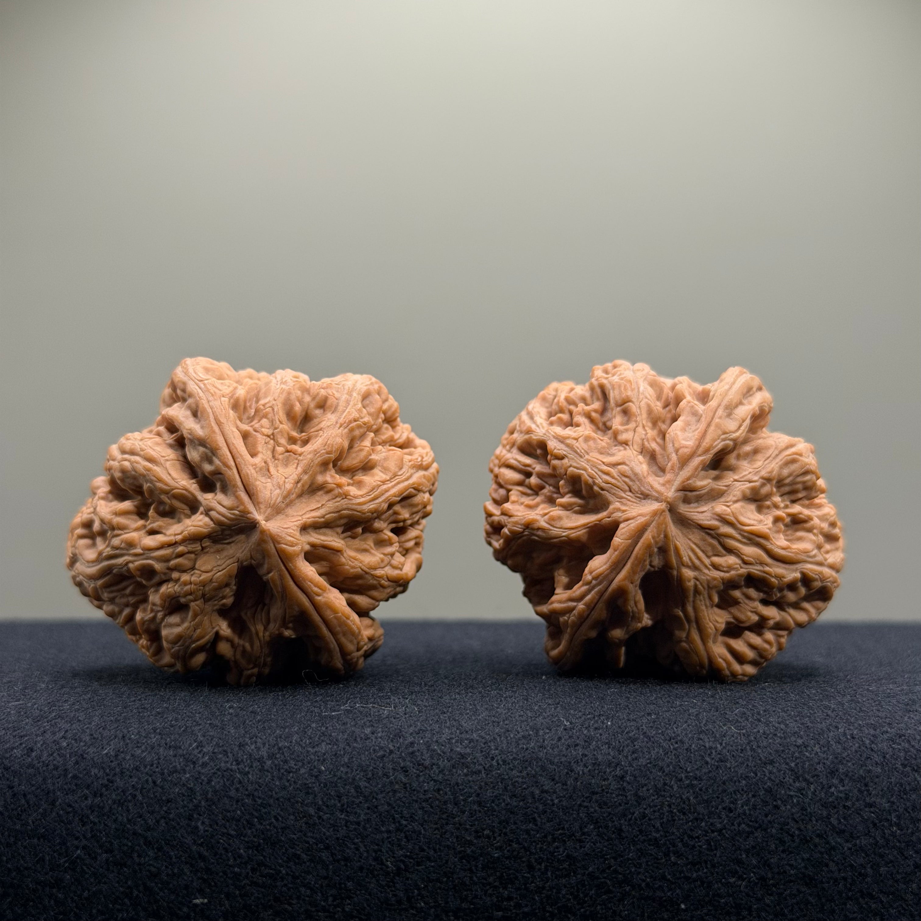 Bold Ridge Wenwan Walnut · 41mm · Natural · Select Ritual