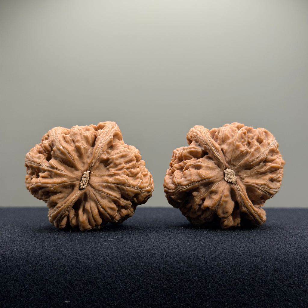 Bold Ridge Wenwan Walnut · 41mm · Natural · Select Ritual