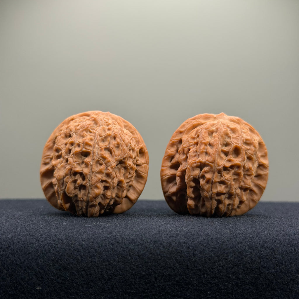 Blood Kirin Wenwan Walnut · 36.4/36.5mm · Select Ritual