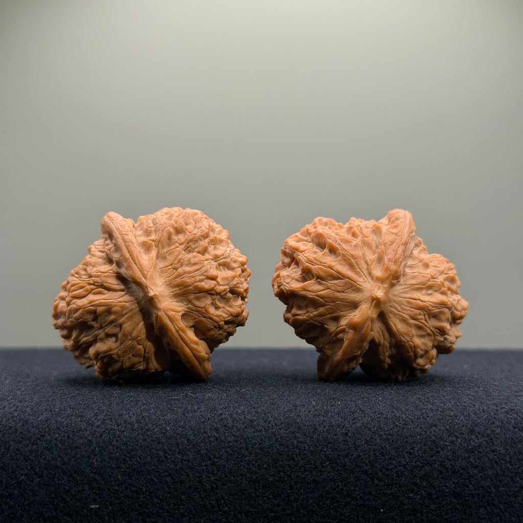 Blood Kirin Wenwan Walnut · 36.4/36.5mm · Select Ritual