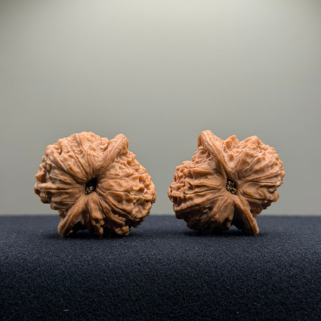 Blood Kirin Wenwan Walnut · 36.4/36.5mm · Select Ritual