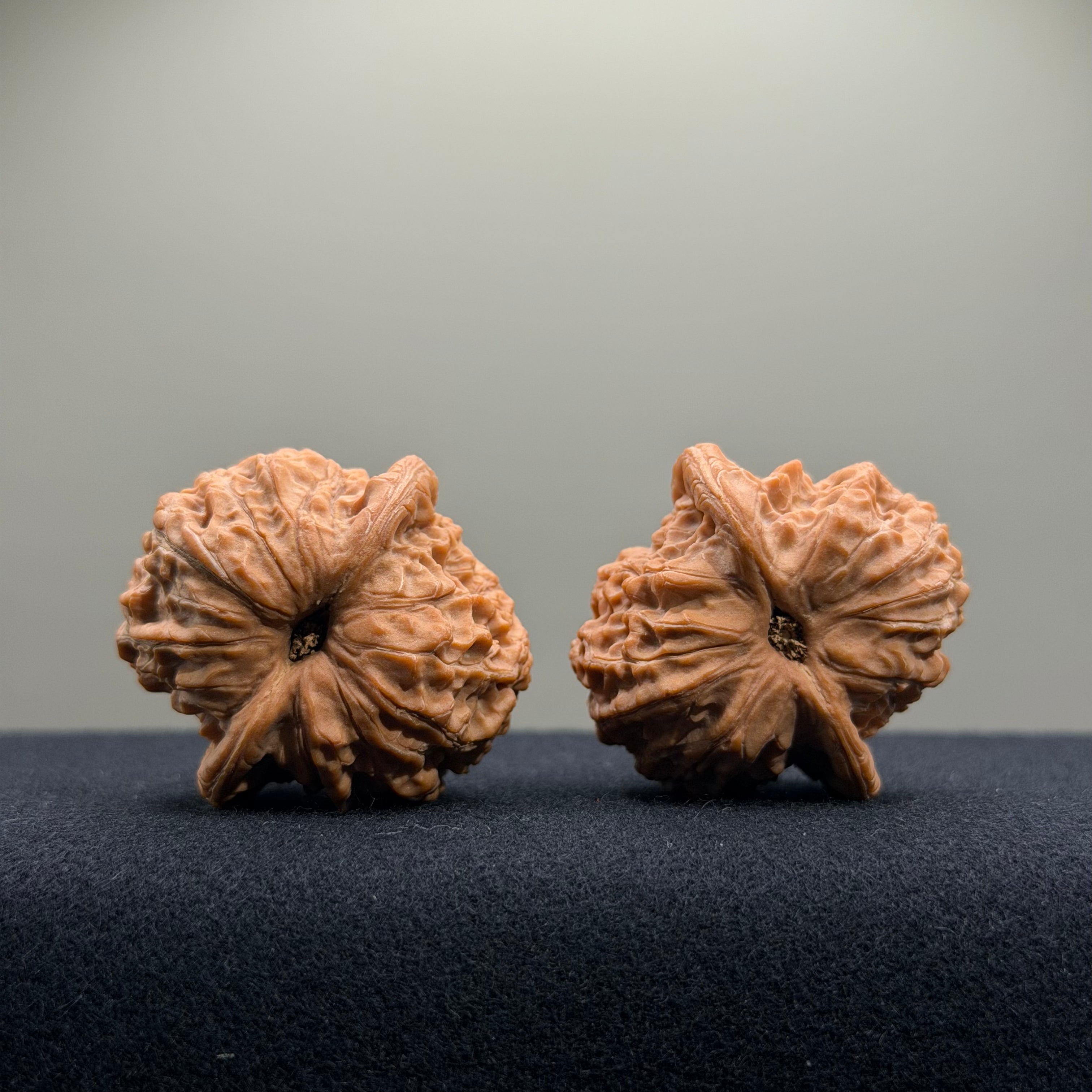 Blood Kirin Wenwan Walnut · 36.4/36.5mm · Select Ritual