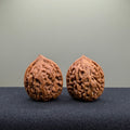 Chicken Heart Wenwan Walnut · 30mm · Natural · Select Ritual