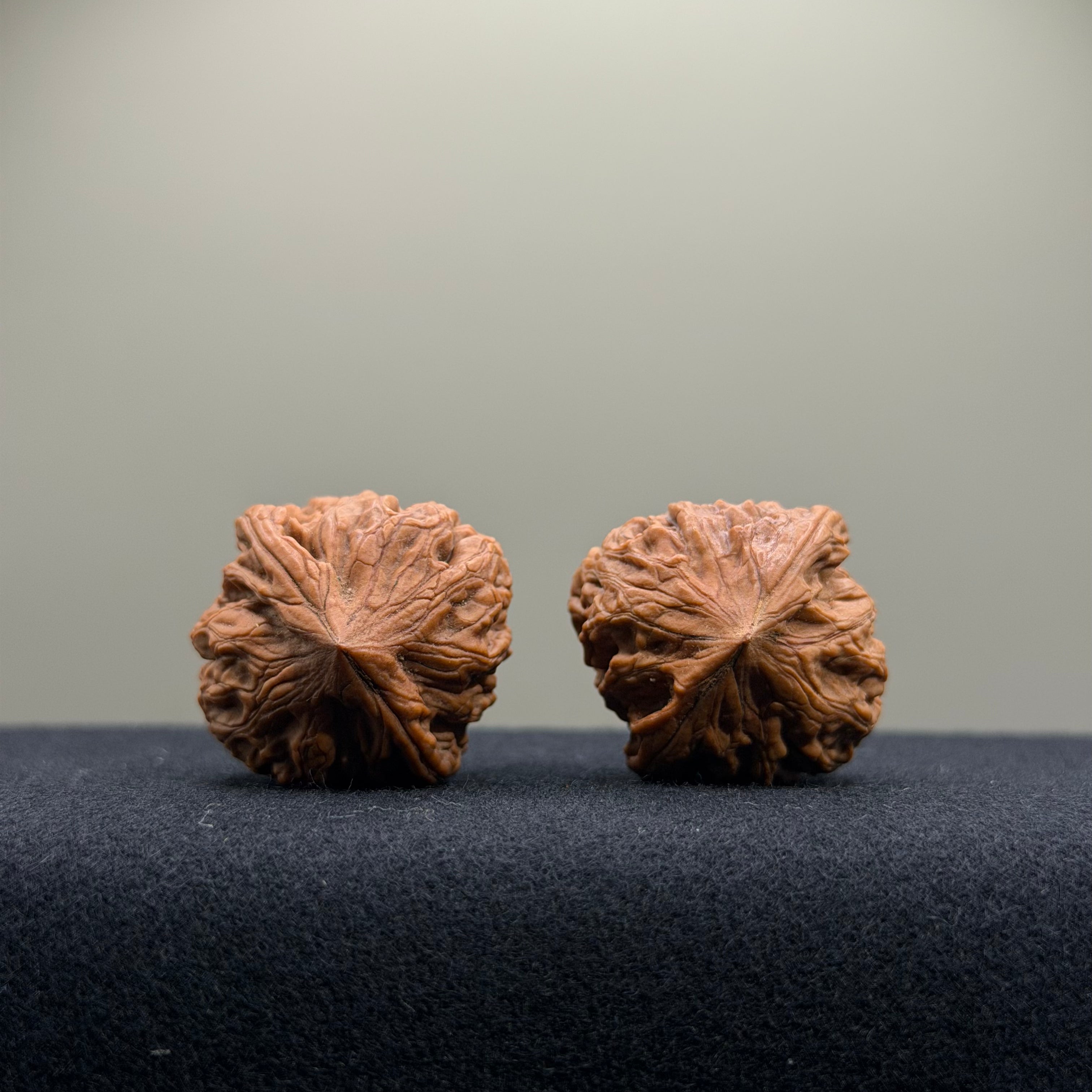 Chicken Heart Wenwan Walnut · 30mm · Natural · Select Ritual