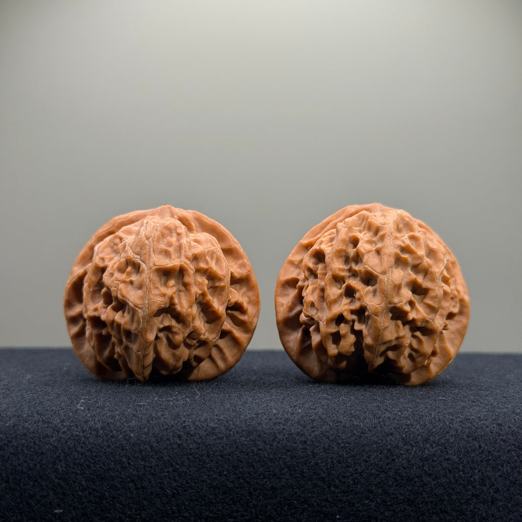 Palace Lantern Wenwan Walnut · 39.6/39.1mm · Natural · Select Ritual