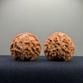Palace Lantern Wenwan Walnut · 39.6/39.1mm · Natural · Select Ritual