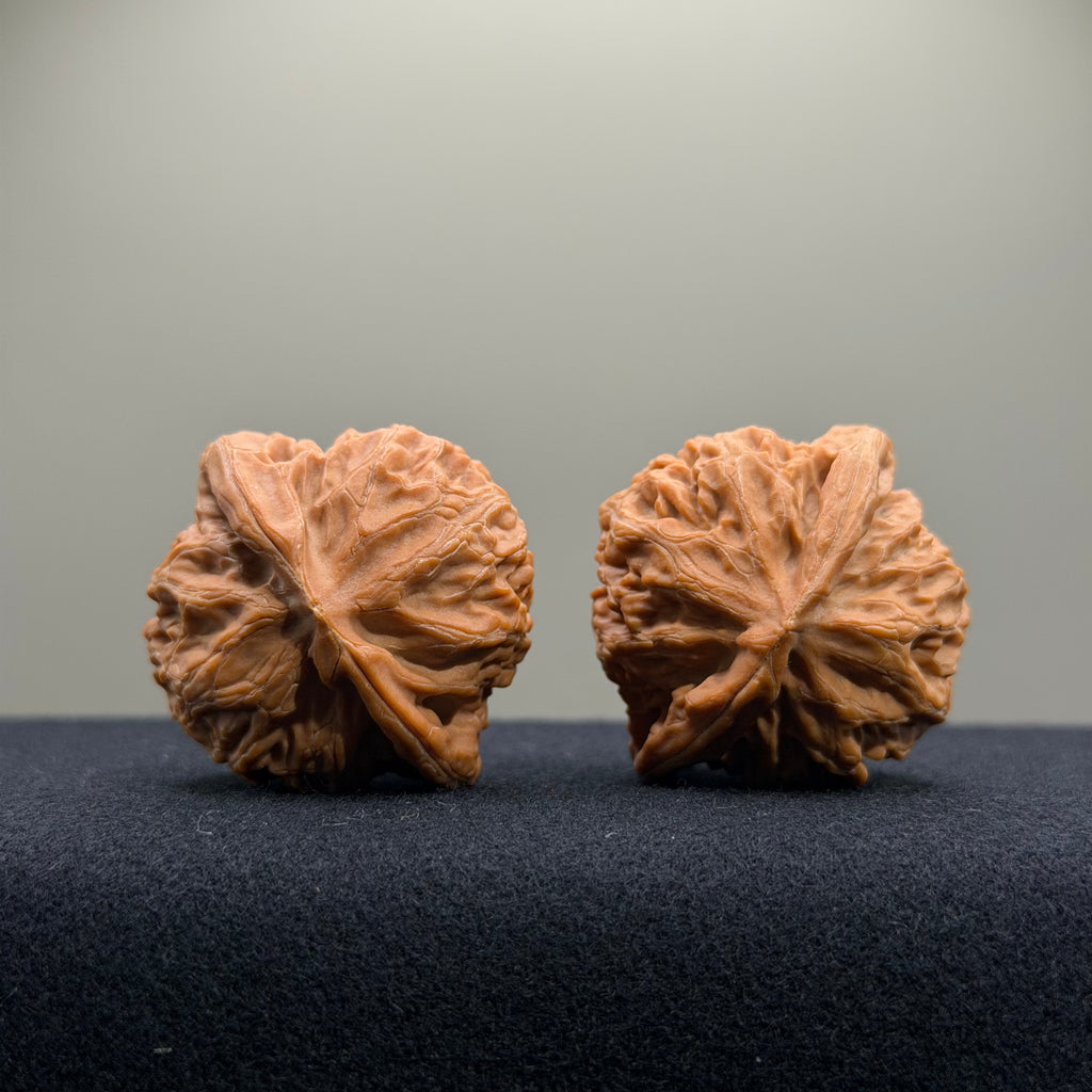 Palace Lantern Wenwan Walnut · 39.6/39.1mm · Natural · Select Ritual