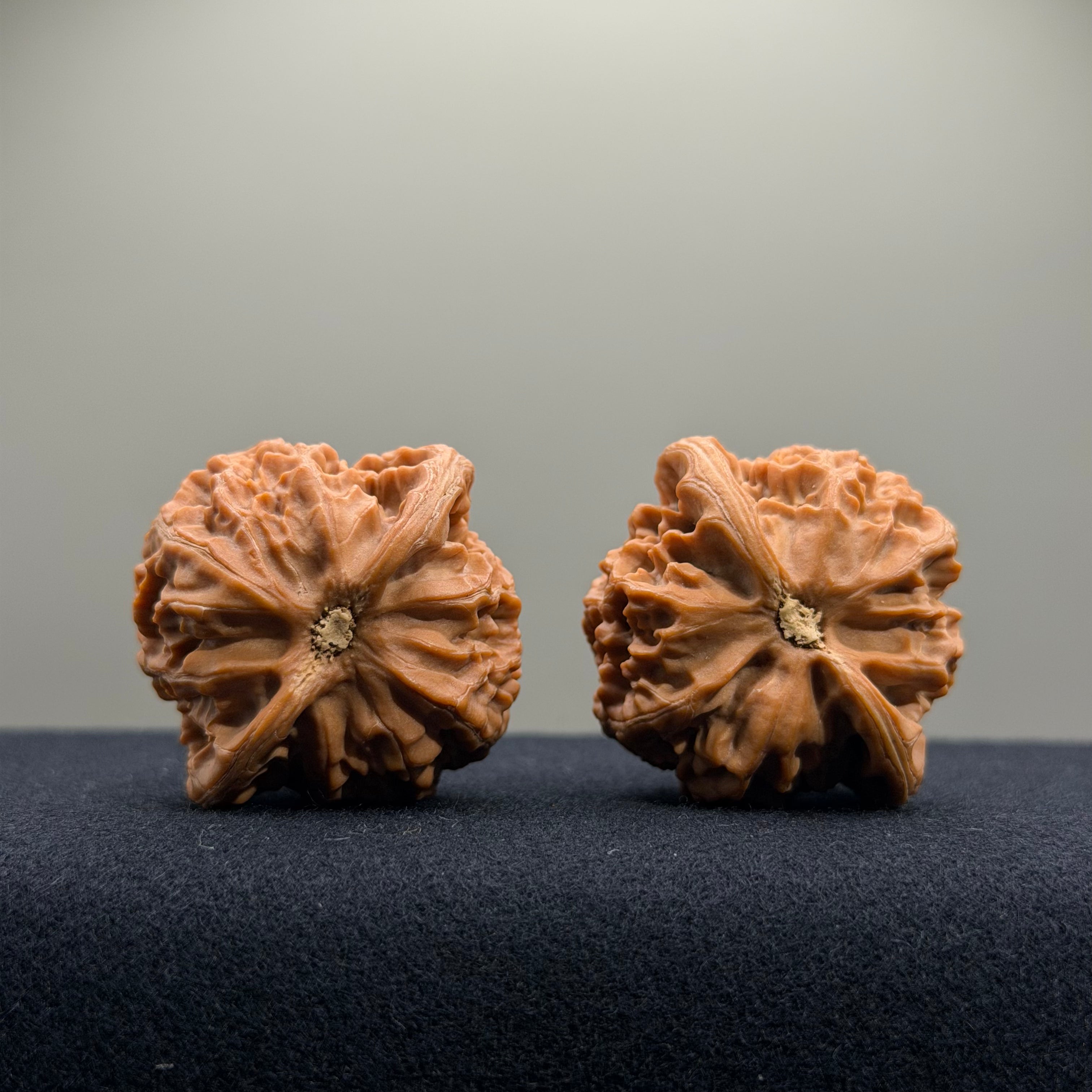 Palace Lantern Wenwan Walnut · 39.6/39.1mm · Natural · Select Ritual