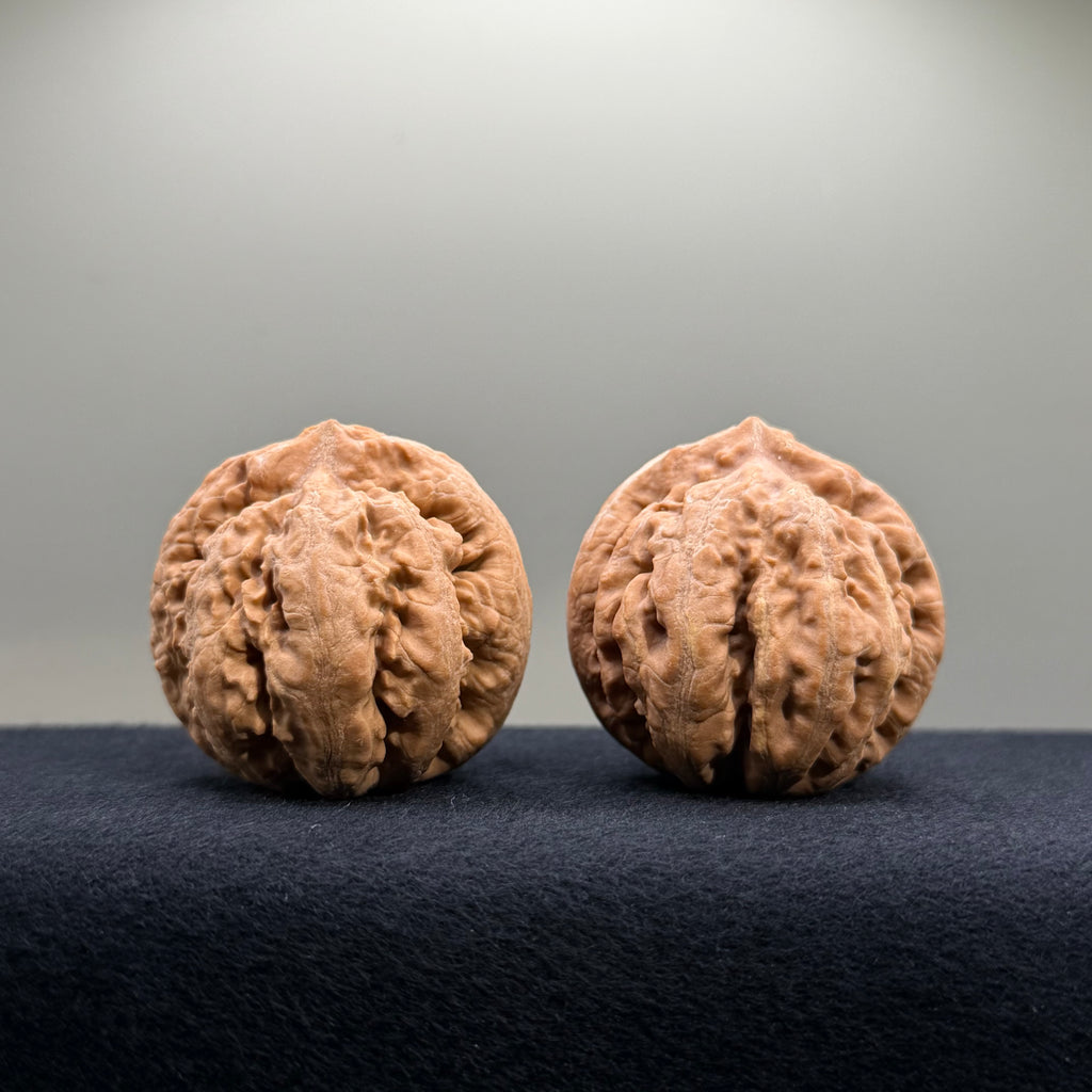Tyrannosaur Wenwan Walnut · 42mm · Natural · Select Ritual