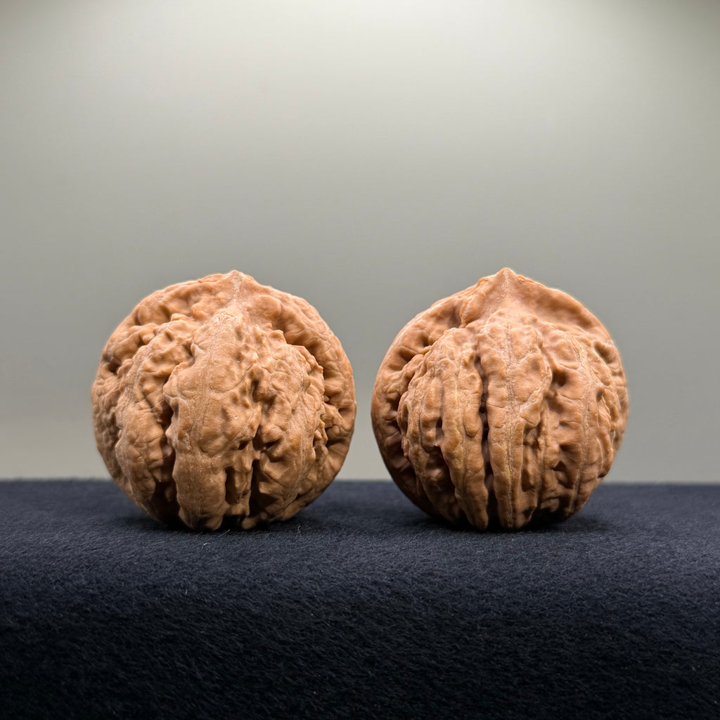 Tyrannosaur Wenwan Walnut · 42mm · Natural · Select Ritual
