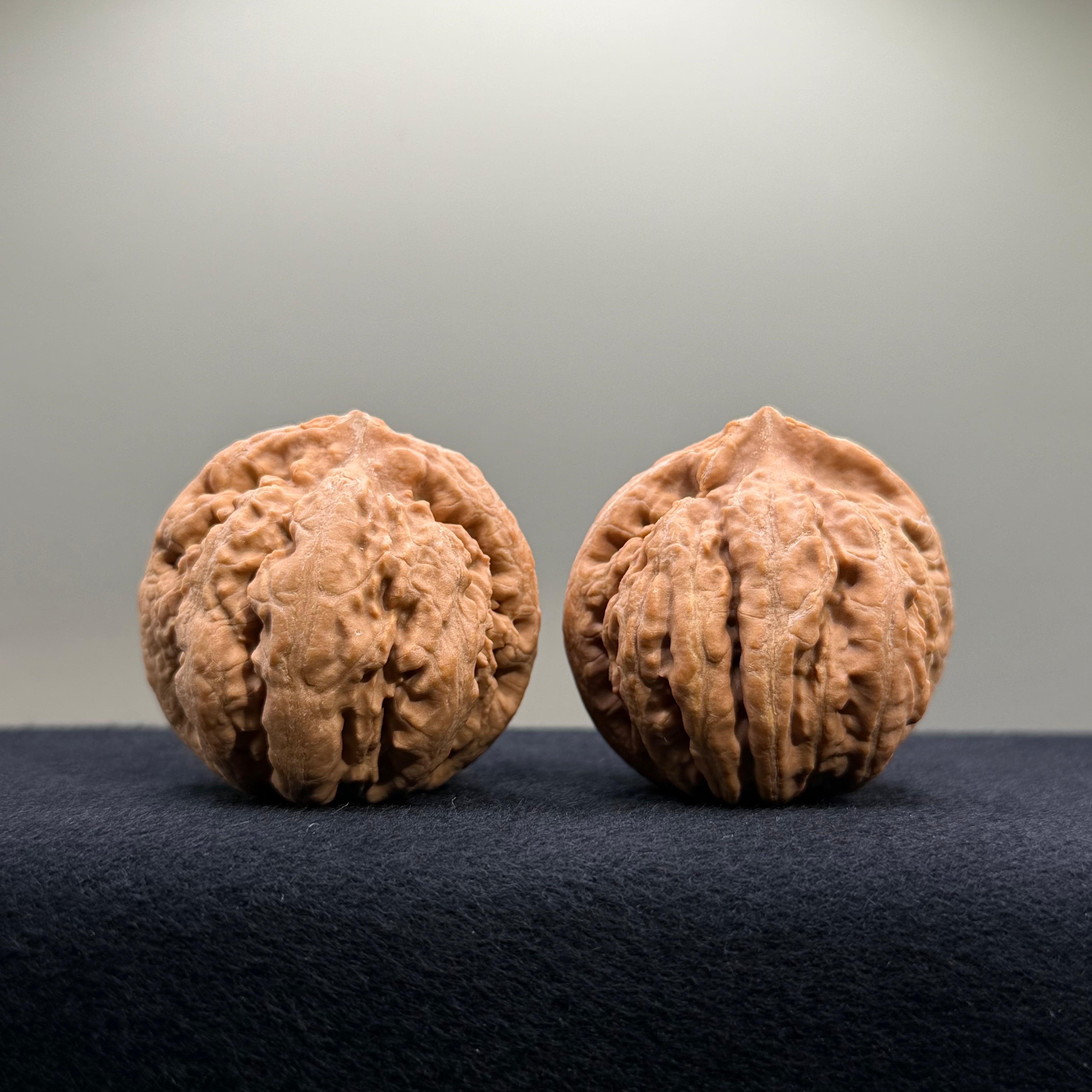 Tyrannosaur Wenwan Walnut · 42mm · Natural · Select Ritual