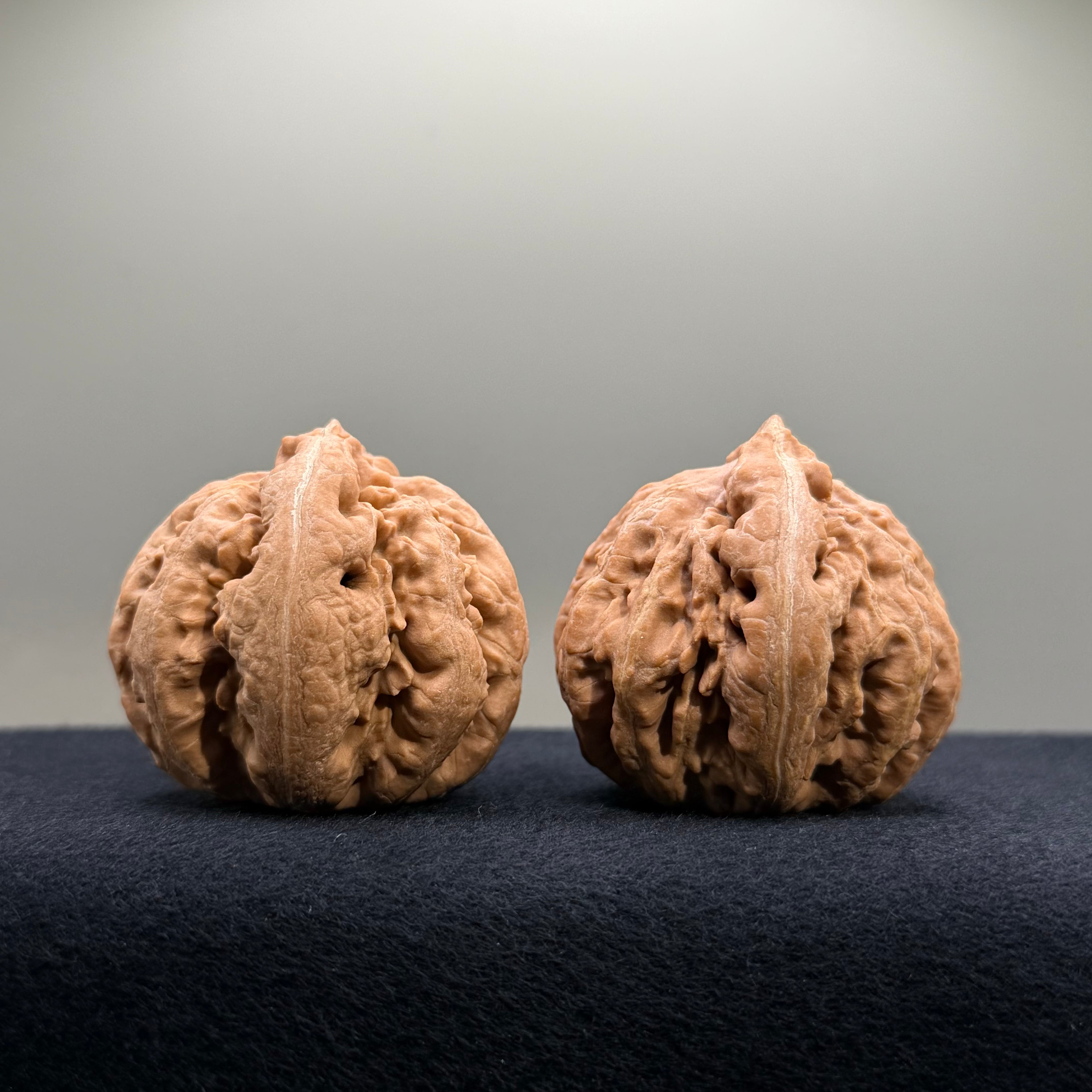 Tyrannosaur Wenwan Walnut · 42mm · Natural · Select Ritual
