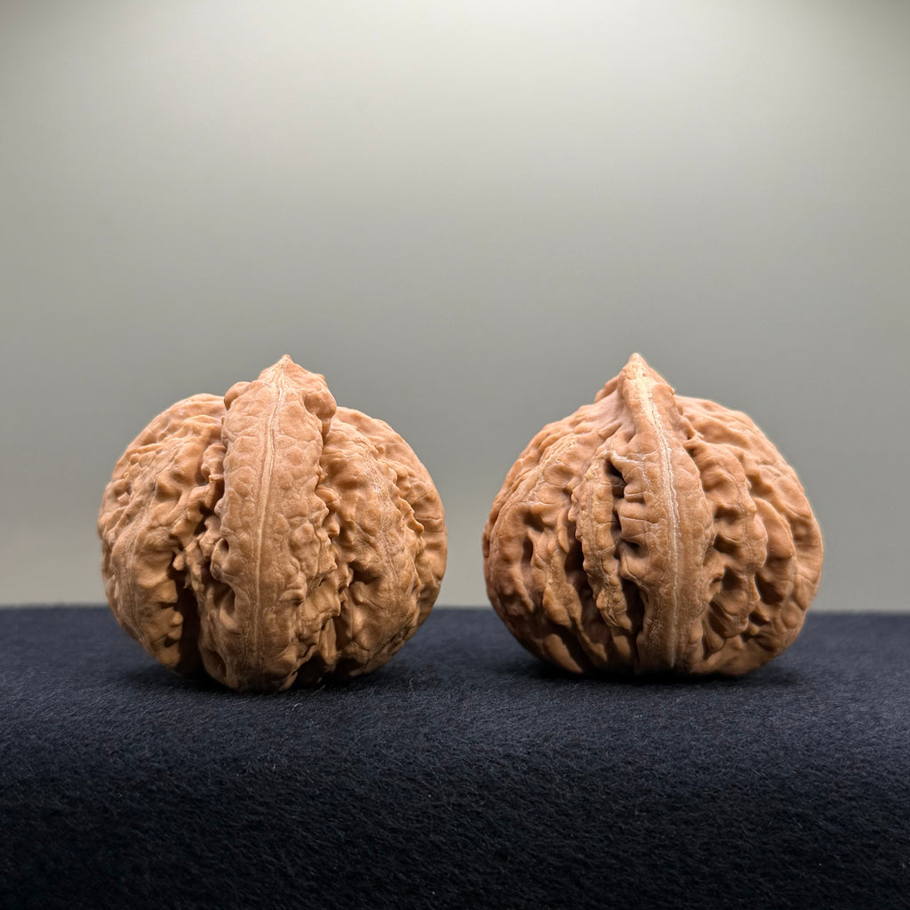 Tyrannosaur Wenwan Walnut · 42mm · Natural · Select Ritual
