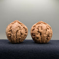 Tyrannosaur Wenwan Walnut · 40mm · Natural · Select Ritual