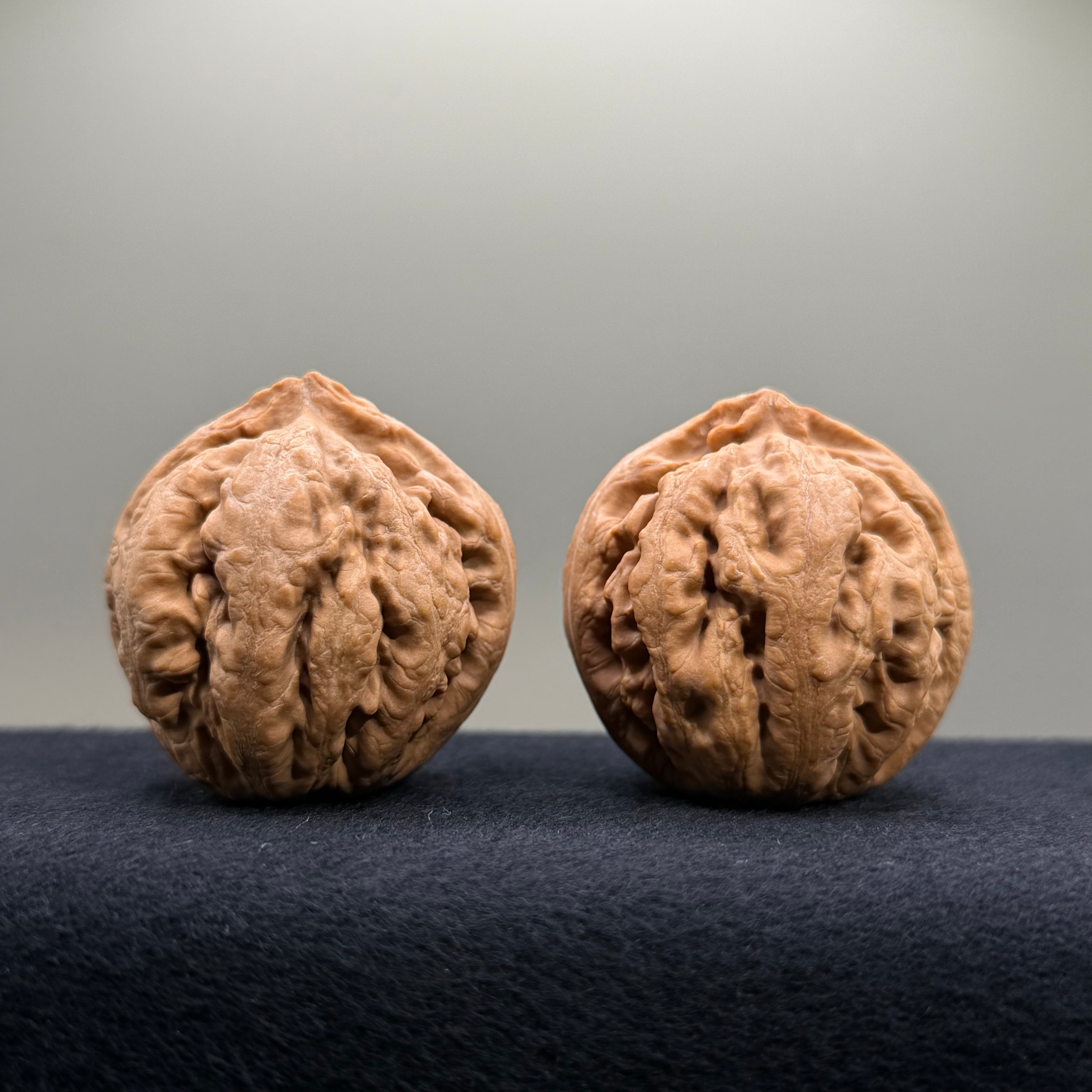 Tyrannosaur Wenwan Walnut · 40mm · Natural · Select Ritual