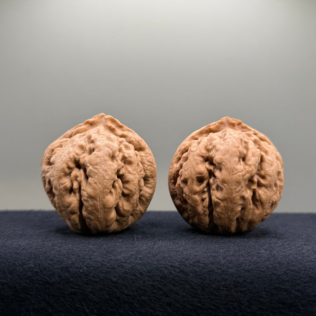 Tyrannosaur Wenwan Walnut · 40mm · Natural · Select Ritual
