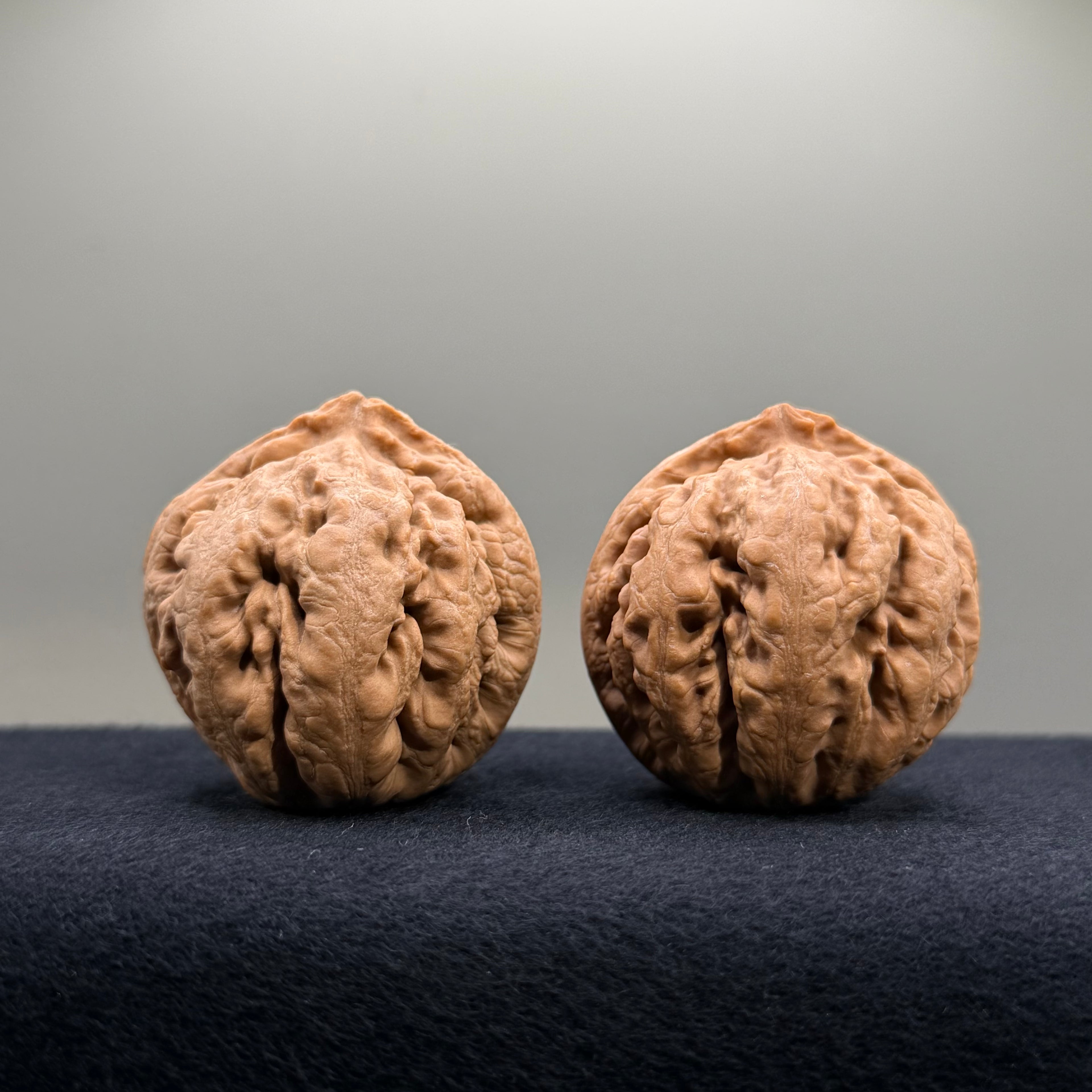 Tyrannosaur Wenwan Walnut · 40mm · Natural · Select Ritual
