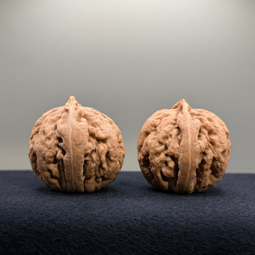 Tyrannosaur Wenwan Walnut · 40mm · Natural · Select Ritual