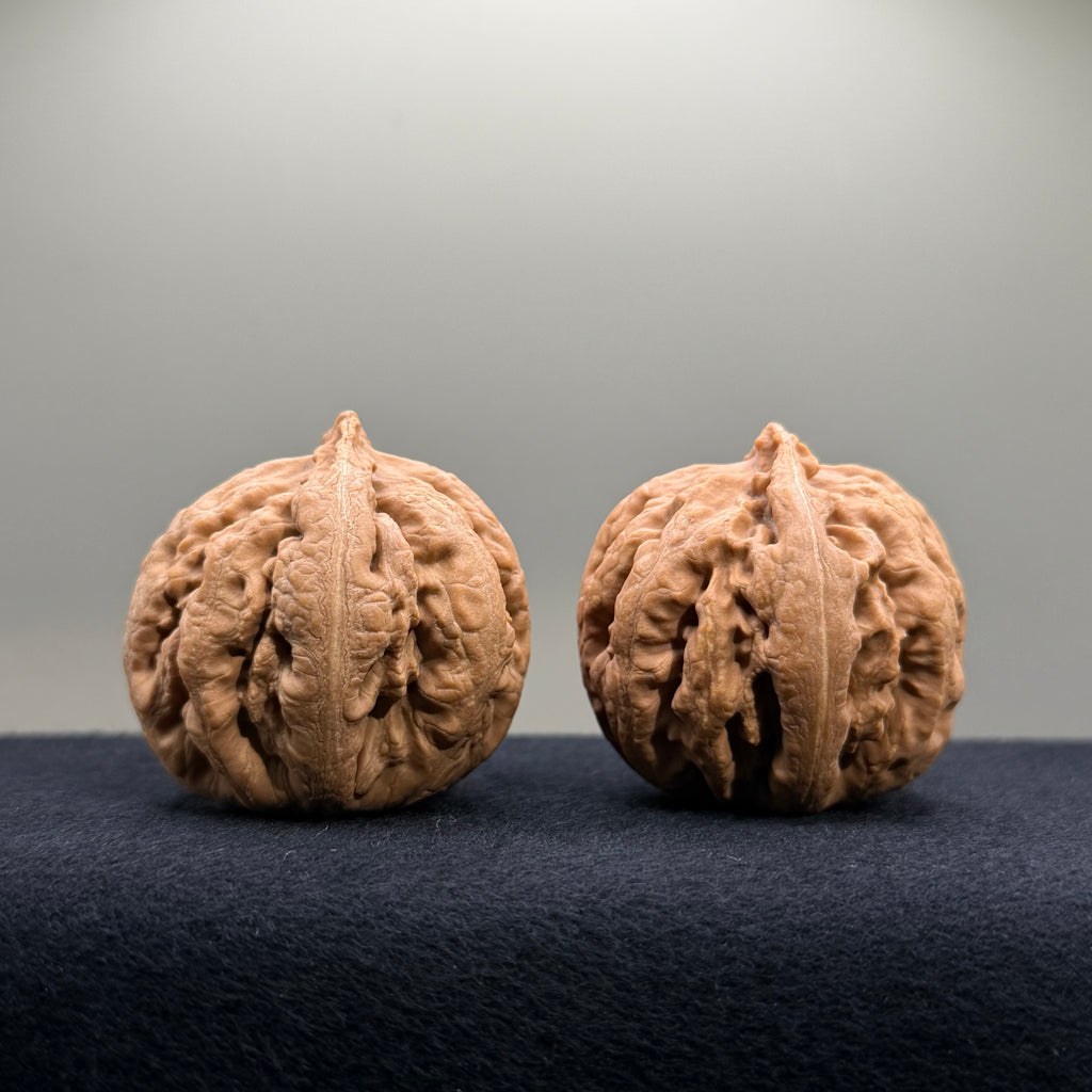 Tyrannosaur Wenwan Walnut · 40mm · Natural · Select Ritual