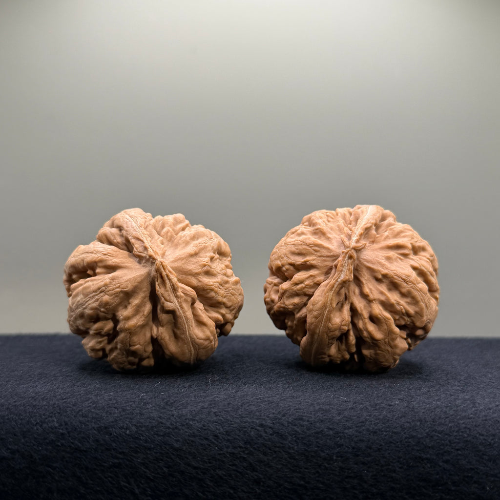 Tyrannosaur Wenwan Walnut · 40mm · Natural · Select Ritual