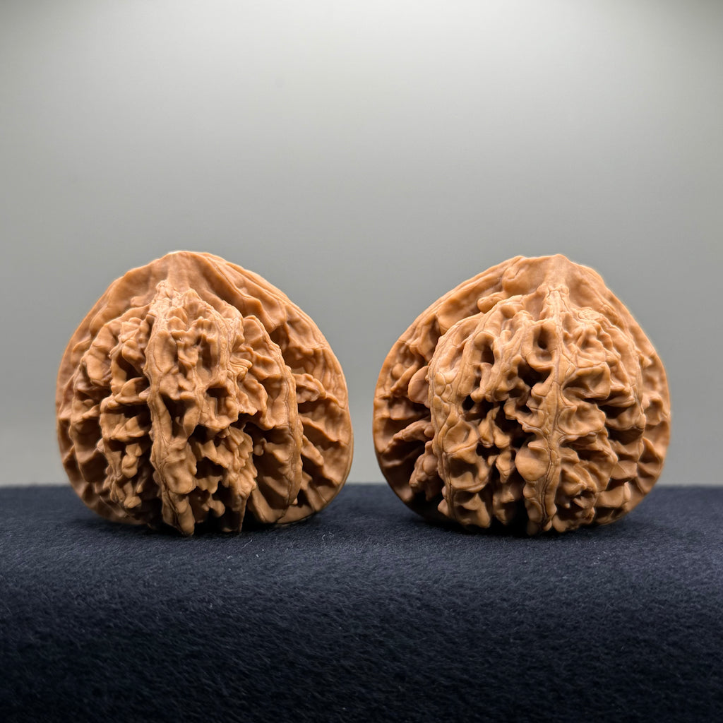 Champion Crown Wenwan Walnut · 48.6/49.1mm · Natural · Select Ritual