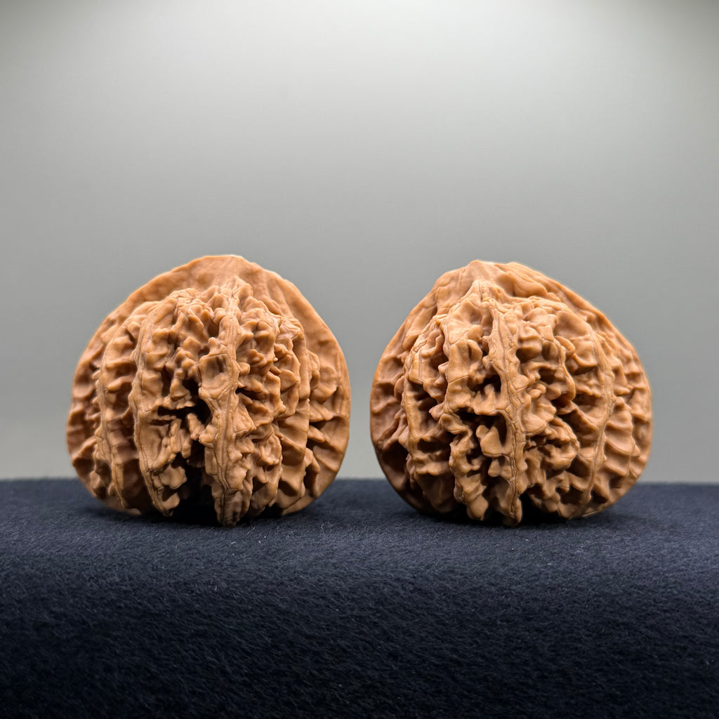 Champion Crown Wenwan Walnut · 48.6/49.1mm · Natural · Select Ritual